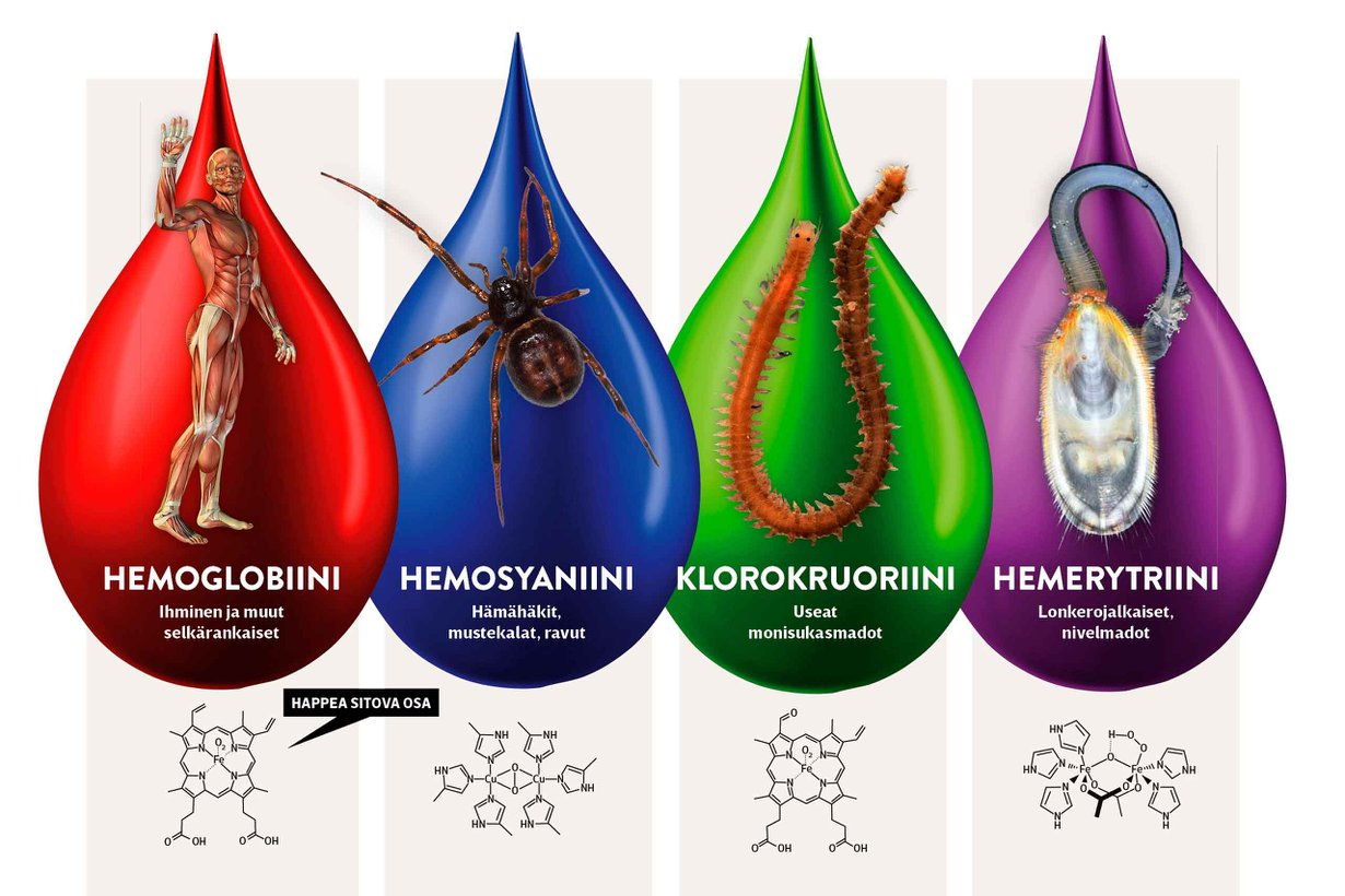 Kuvat: Shutterstock ja Wikimedia Commons
