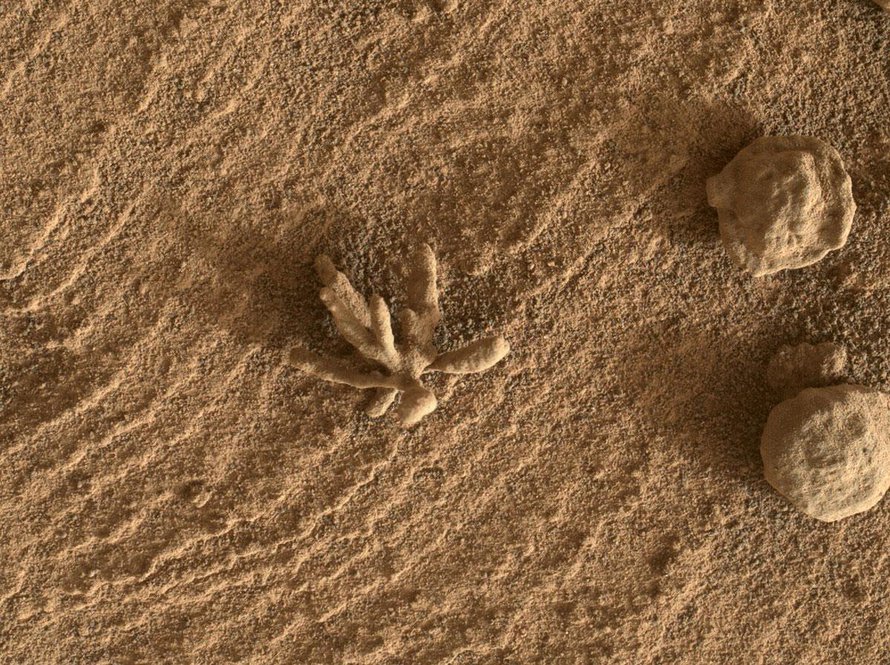 Matkalla suistolle Perseverance kuvasi Marsista pienen kivisen ”kukan”. Kuva: <span class="photographer">Nasa</span>