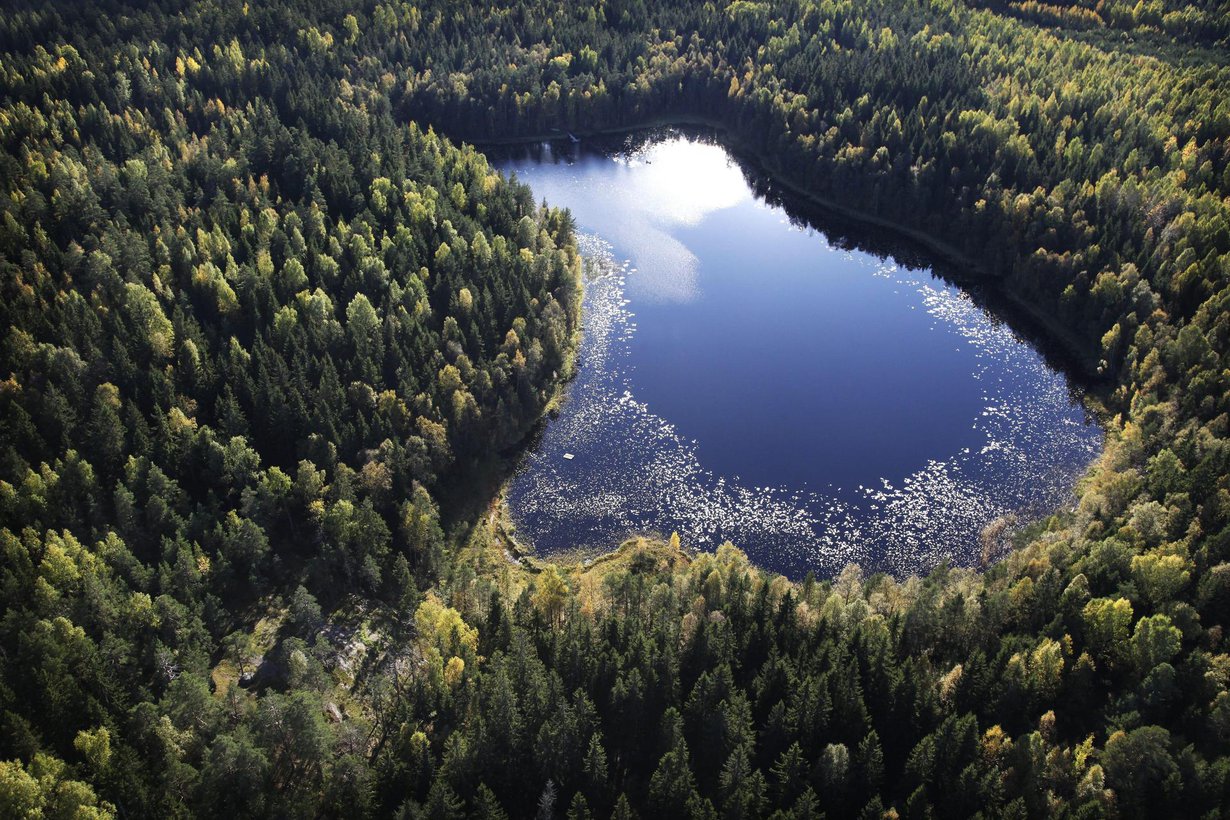 Tämän kokoisilla järvillä ei juhlittu kanadalaisessa järvivertailussa. Bisajärvi Sipoonkorvessa on kooltaan noin 400 aaria. Kuva: Christian Westerback