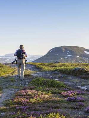Kilpisjärven kesäyössä vaeltaja näkee tunturien lumilaikut ja polun kivet.