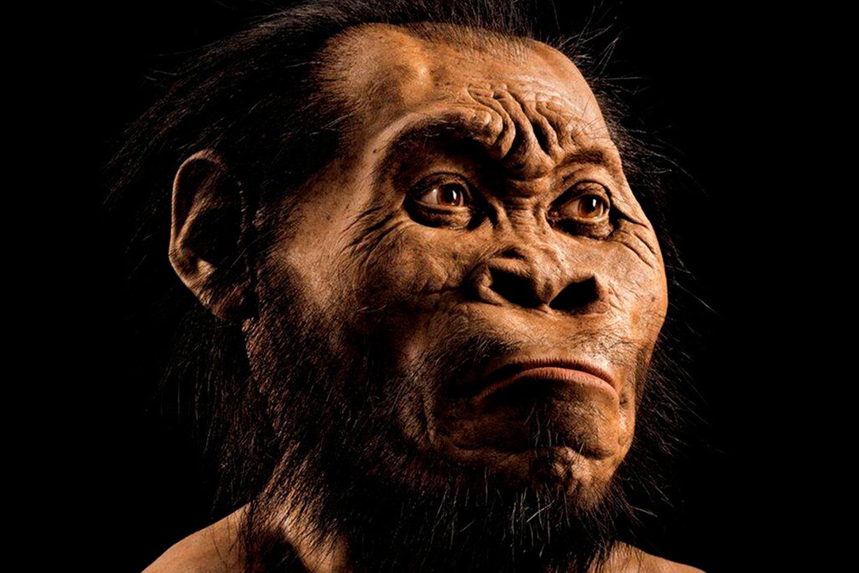 Naledi saattoi elää vain parisataatuhatta vuotta aiemmin kuin oma esiisämme heidelberginihminen ilmaantui alkukotimme maisemiin. Kuva: National Geographic / Lehtikuva