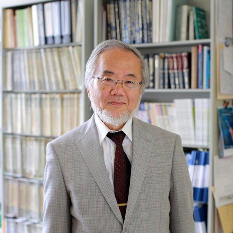 Yoshinori Ohsumi sai lääketieteen nobelin solun kierrätysmekanismin tutkimuksesta. Kuva: <span class="photographer">Reuters</span>