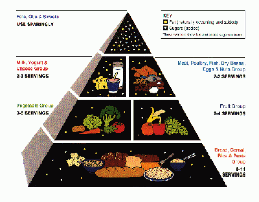Yhdysvaltalainen ravintopyramidi vuodelta 1992 suositti syömään paljon hiilihydraatteja ja vähän rasvaa. Kuva: <span class="photographer">USDA. Center for Nutrition Policy and Promotion.</span>
