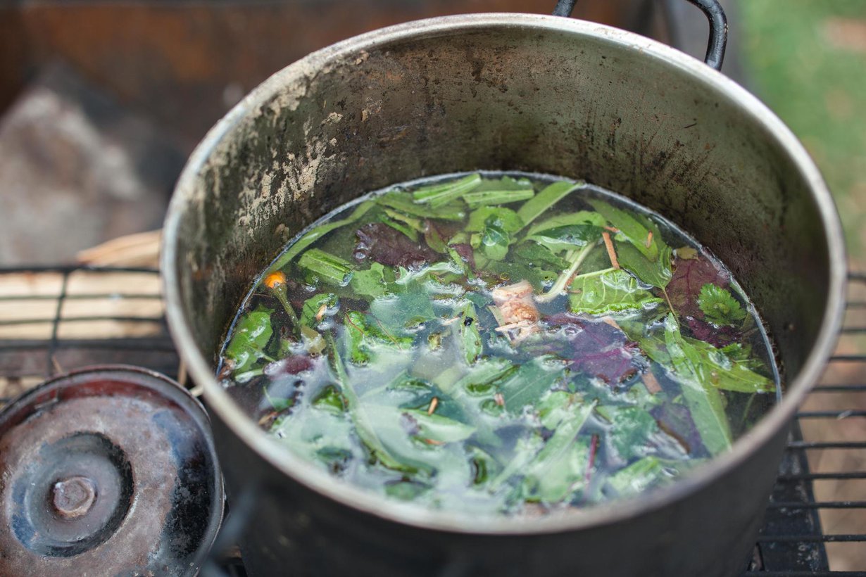 Amazonin alueella ayahuascaa on käytetty kauan. Kuva: Shutterstock