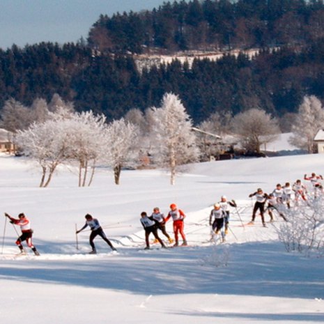 Kuva: <span class="photographer">Wikimedia Commons</span>