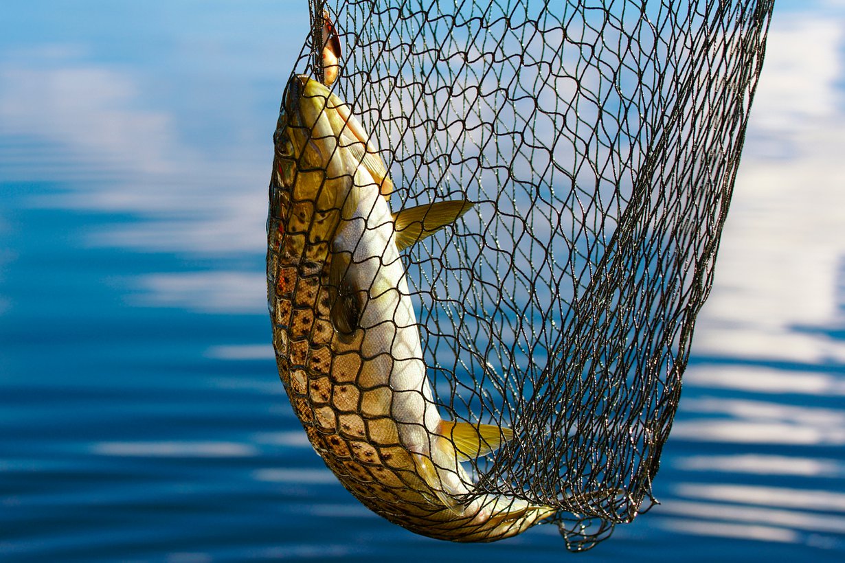 Ihminen on tehnyt osuutensa. Kuva: Shutterstock