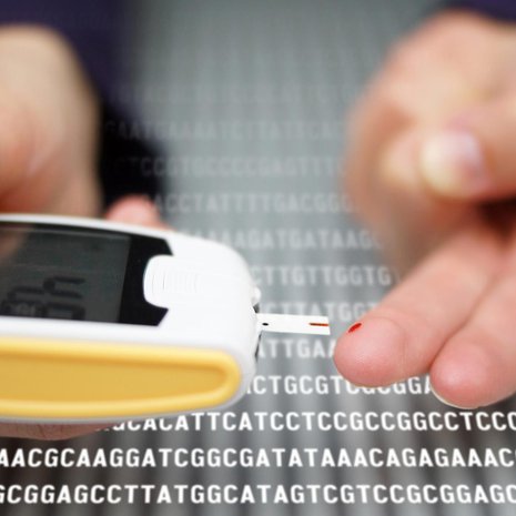 Diabetespotilaat voivat seurata verensokeriaan tällaisella laitteella. Kuva: <span class="photographer">Darryl Leja, NHGRI</span>