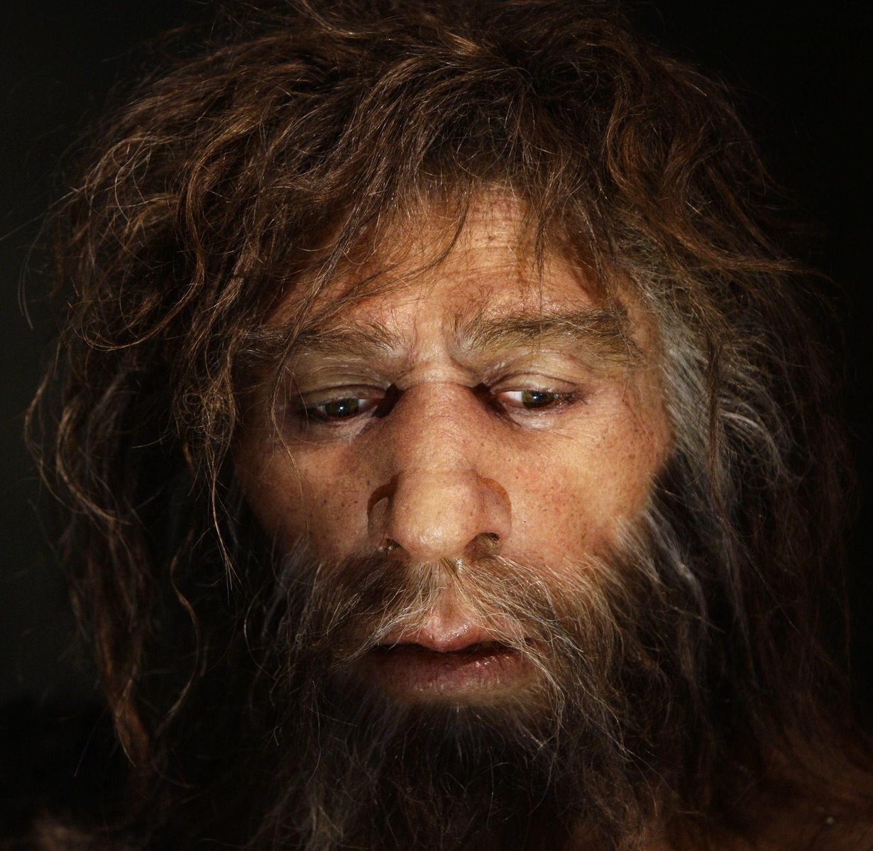 Tältä näyttää neandertalilaismies kroatialaisen nendertalmuseon taiteilijan hahmottelemana. Kuva: Nikola Solic / Reuters
