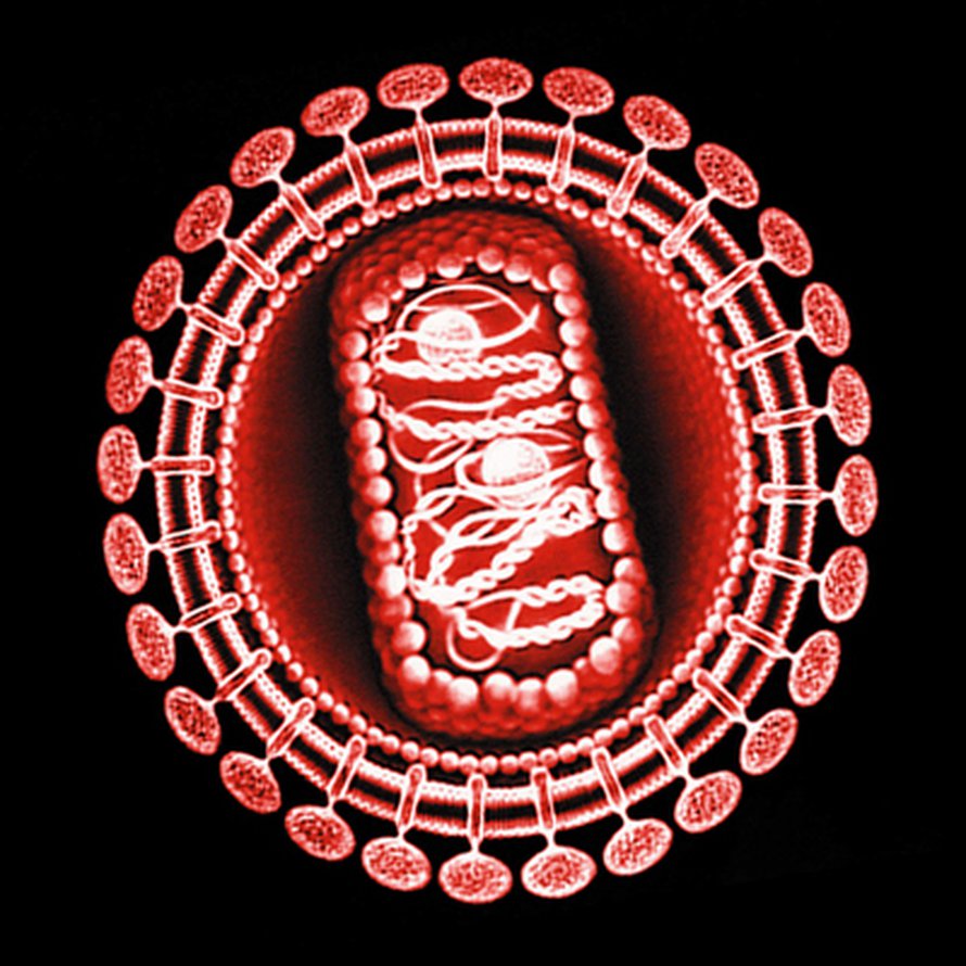 HI-virus. Kuva: <span class="photographer">Boehringer Ingelheim Gmbh</span>