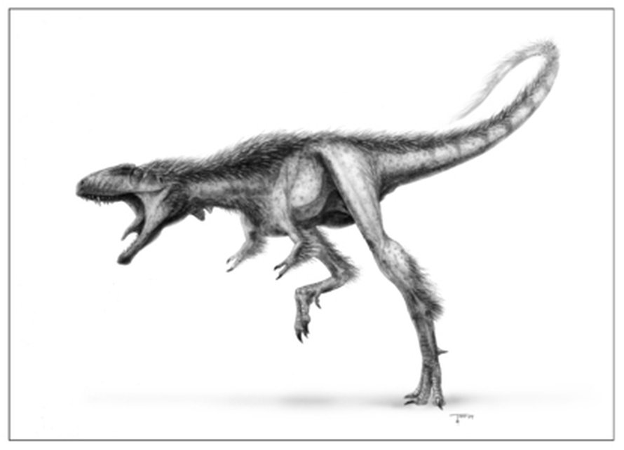Raptorex oli noin ihmisen painoinen versio T.rexistä. Kuva: <span class="photographer">Todd Marshall</span>