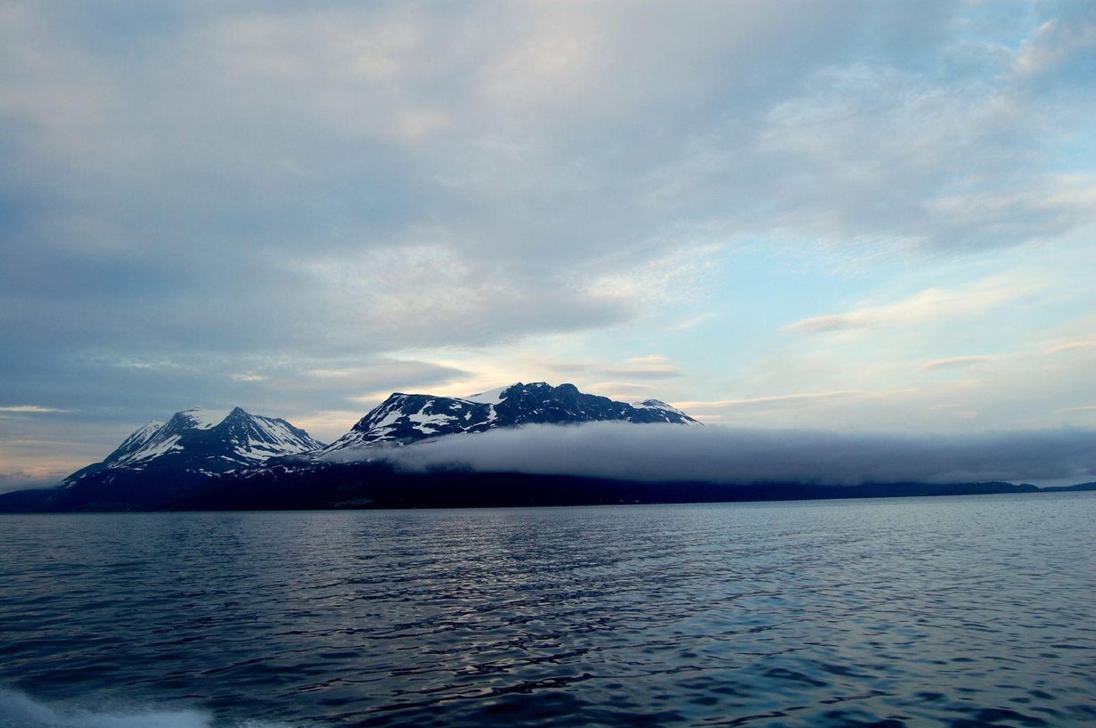 Pohjoinen lämpenee etelääkin nopeammin. Kuva: Vinay Deep / Wikimedia Commons