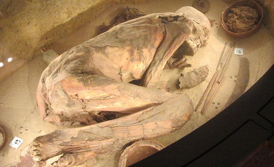 Tämä muumio löytyy Torinon egpytiläisestä museosta. Kuva: <span class="photographer">Dr Stephen Buckley, University of York</span>