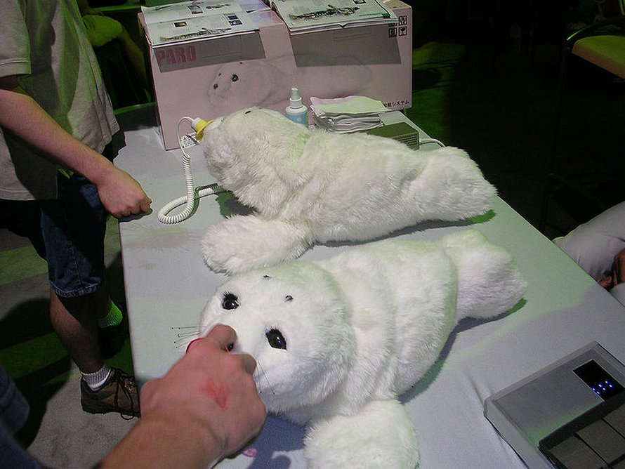 Paro-robottihylje osaa pitää seuraa ihmiselle. Kuva: <span class="photographer">Aaron Biggs /Wikimedia Commons</span>