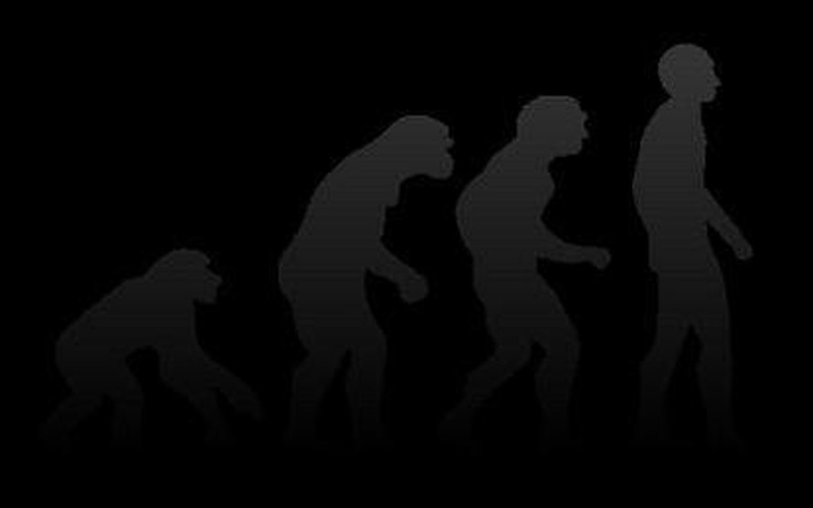Kuva: <span class="photographer"><A HREF=http://commons.wikimedia.org/wiki/File:Human_evolution.svg>Wikimedia Commons</A></span>