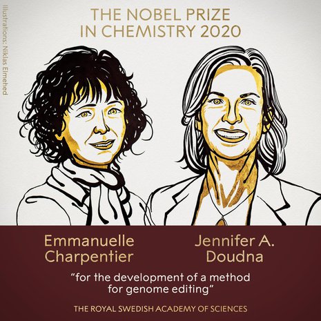 Nobelistit Emmanuelle Charpentier ja Jennifer Doudna kehittivät mullistavan keinon muokata eliöiden perimää. Kuva: <span class="photographer">Niklas Elmehed / Ruotsin kuninkaallinen tiedeakatemia</span>