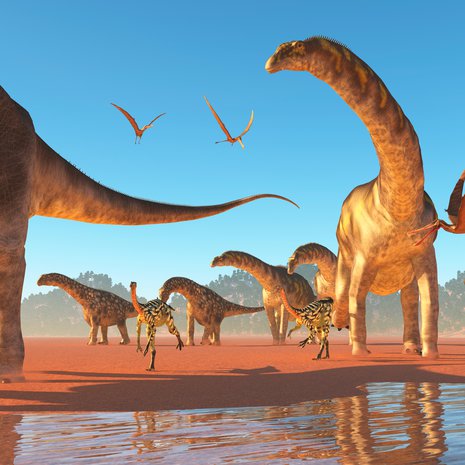 Ainakin sauropodit elivät sopivasti laumoissa. Kuva: <span class="photographer">Shutterstock</span>