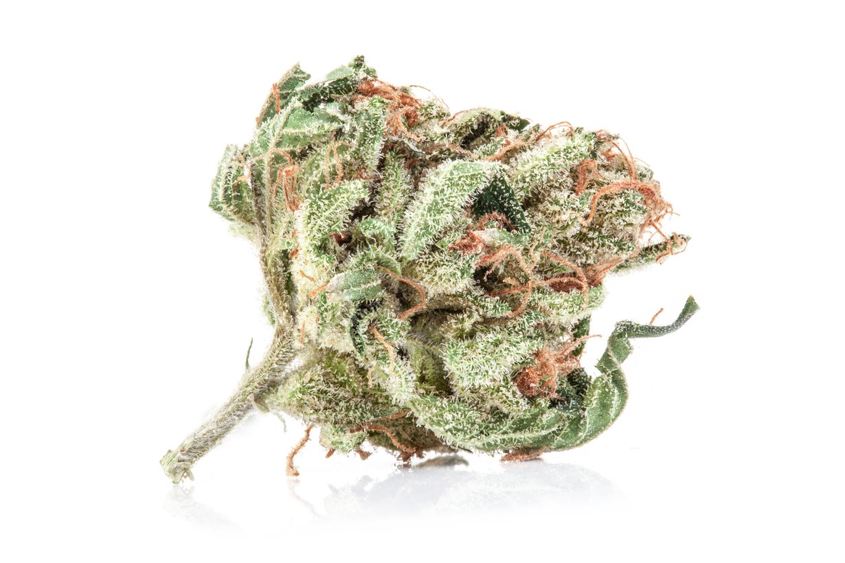 Jotkin valmisteet sisältävät kannabiskasvin kuivattuja kukintoja. Kuva: Getty Images