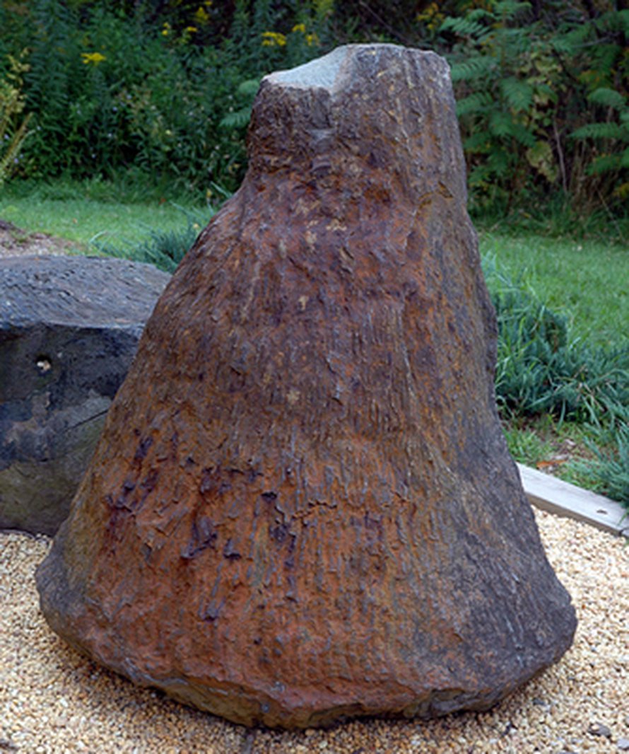 Gilboan fossiilikanto kannatteli aikanaan palmumaista vartta. Kuva: <span class="photographer">W. Stein.</span>