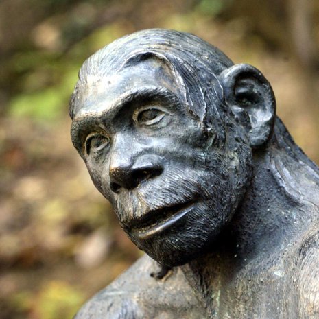 Kuvanveistäjän tulkinta neandertalinihmisestä. Kuva: <span class="photographer">Juhani Niiranen</span>