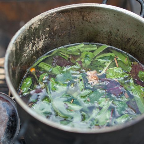 Amazonin alueella ayahuascaa on käytetty kauan. Kuva: <span class="photographer">Shutterstock</span>
