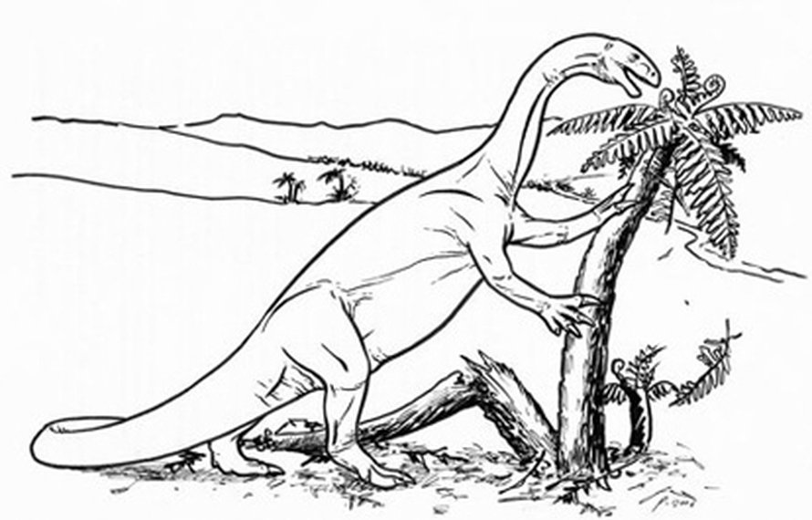 Plateosaurus eli Euroopassa ja Grönlannissa 210 - 195 miljoonaa vuotta sitten. Kuva:<span class="photographer">forskning.no</span>