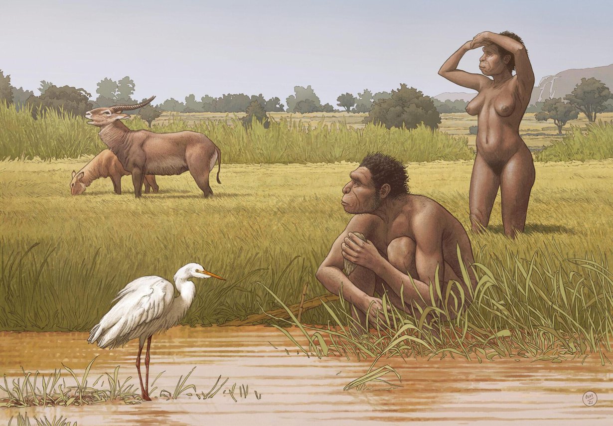 Homo bodoensis eli Afrikassa puoli miljoonaa vuotta sitten. Kuva: Ettore Mazza