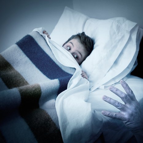 Vaara on vaaninut yönäytöksissä satojatuhansia, kenties miljoonia vuosia. Kuva: <span class="photographer">Shutterstock</span>
