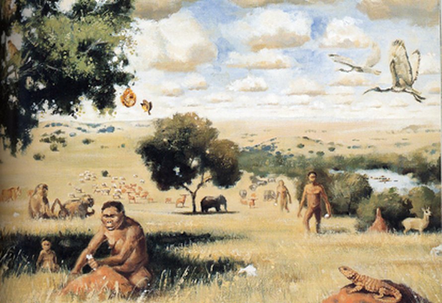 Paranthropus taiteilijan silmin. Kuva: <span class="photographer">Walter Voigt / Lee Berger ja Brett Hilton-Barber</span>