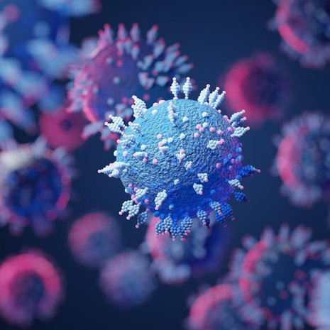 Koronavirus tunnetaan etenkin pikkiproteiineistaan. Kuva: <span class="photographer">Shutterstock</span>