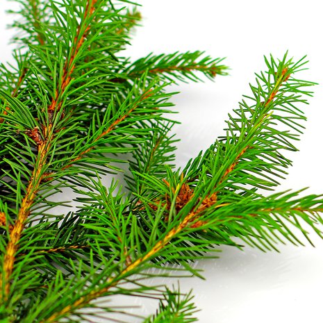 Kuva: <span class="photographer">Shutterstock</span>