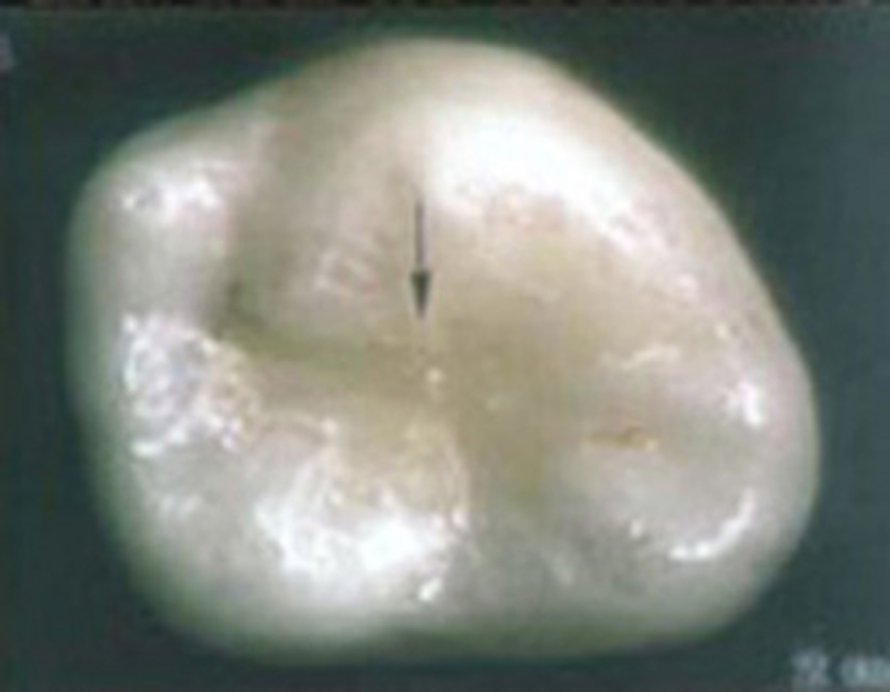 Kuva: <span class="photographer">ADA.</span>