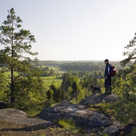 Avara maisema tekee hyvää ihmisen mielelle. Sipoonkorven kansallispuiston Högbergetiltä näkyy Sotungin peltoja. Kuva: <span class="photographer">Metsähallitus/Markus Sirkka</span>