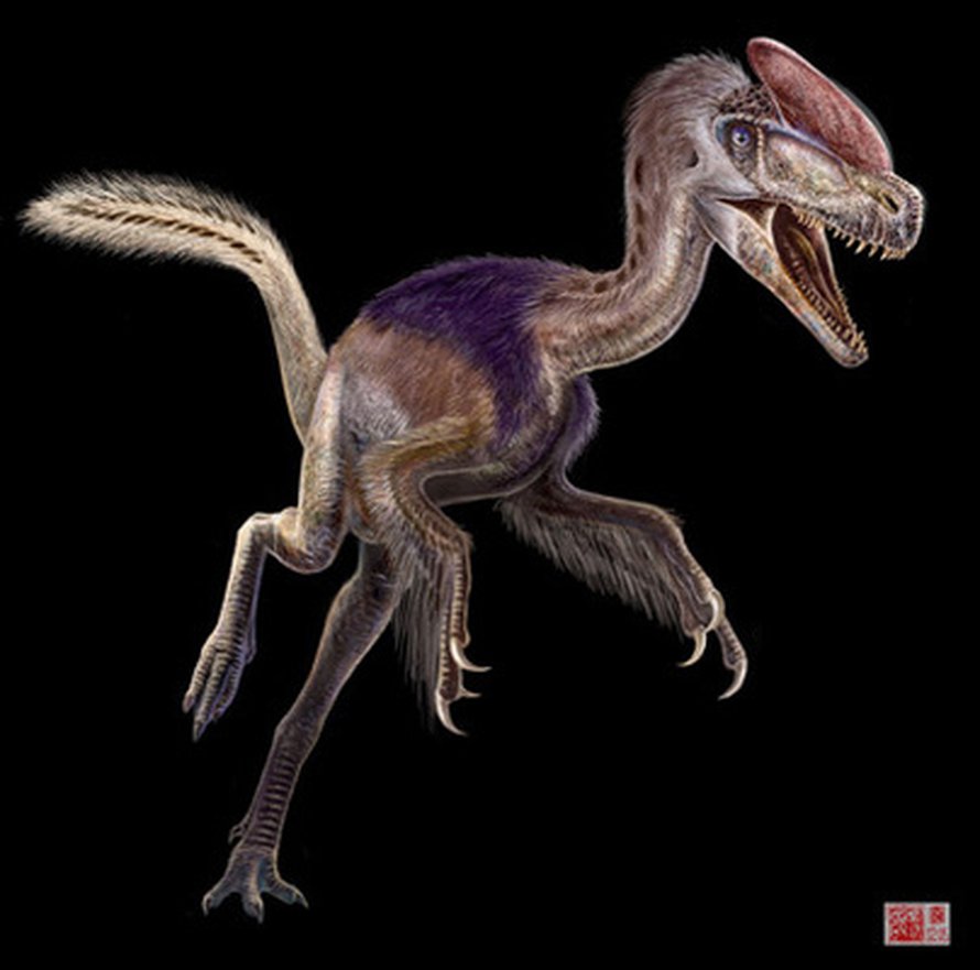 Taiteilijan näkemys tyrannosaurusten kehityslinjan varhaisimmasta tunnetusta lajista. Kuva: <span class="photographer">Zhongda Zhang/IVPP</span>