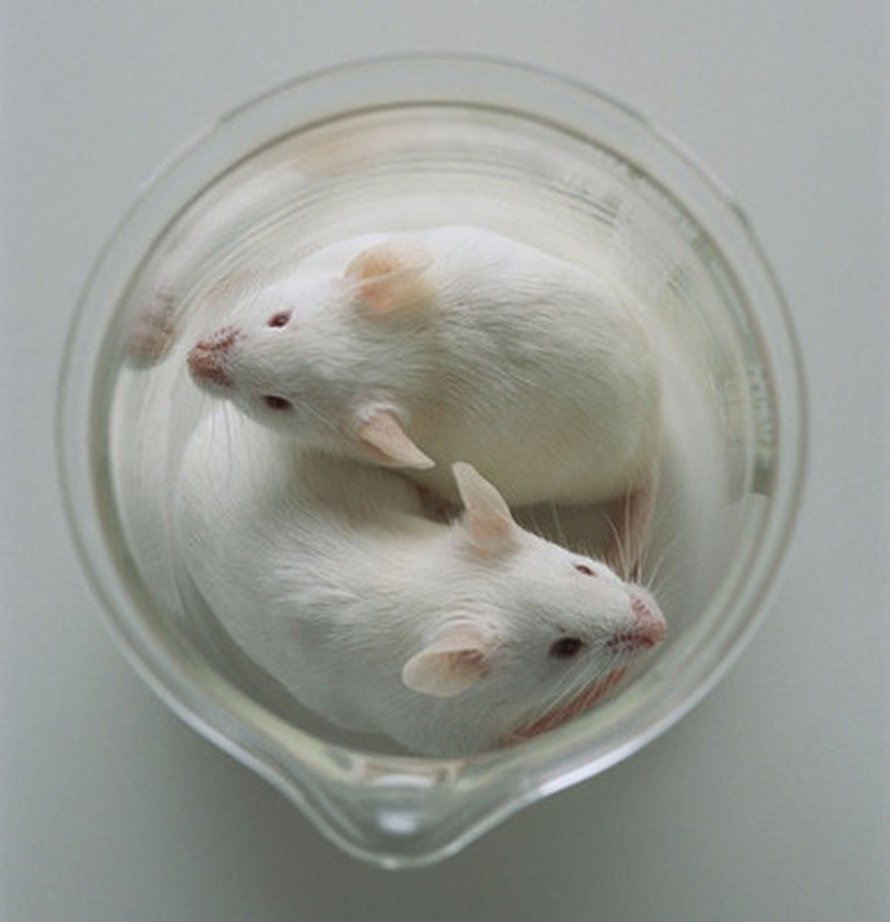 Kuva: <span class="photographer">Corbis RF.</span>